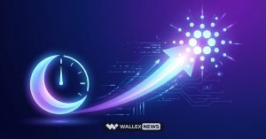 تاثیر میدنایت بر قیمت کاردانو