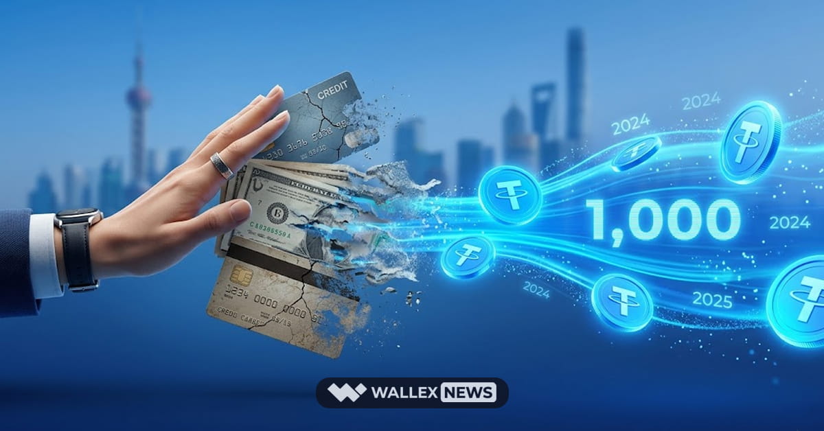 توچه چین به اسنیبل کوین ها